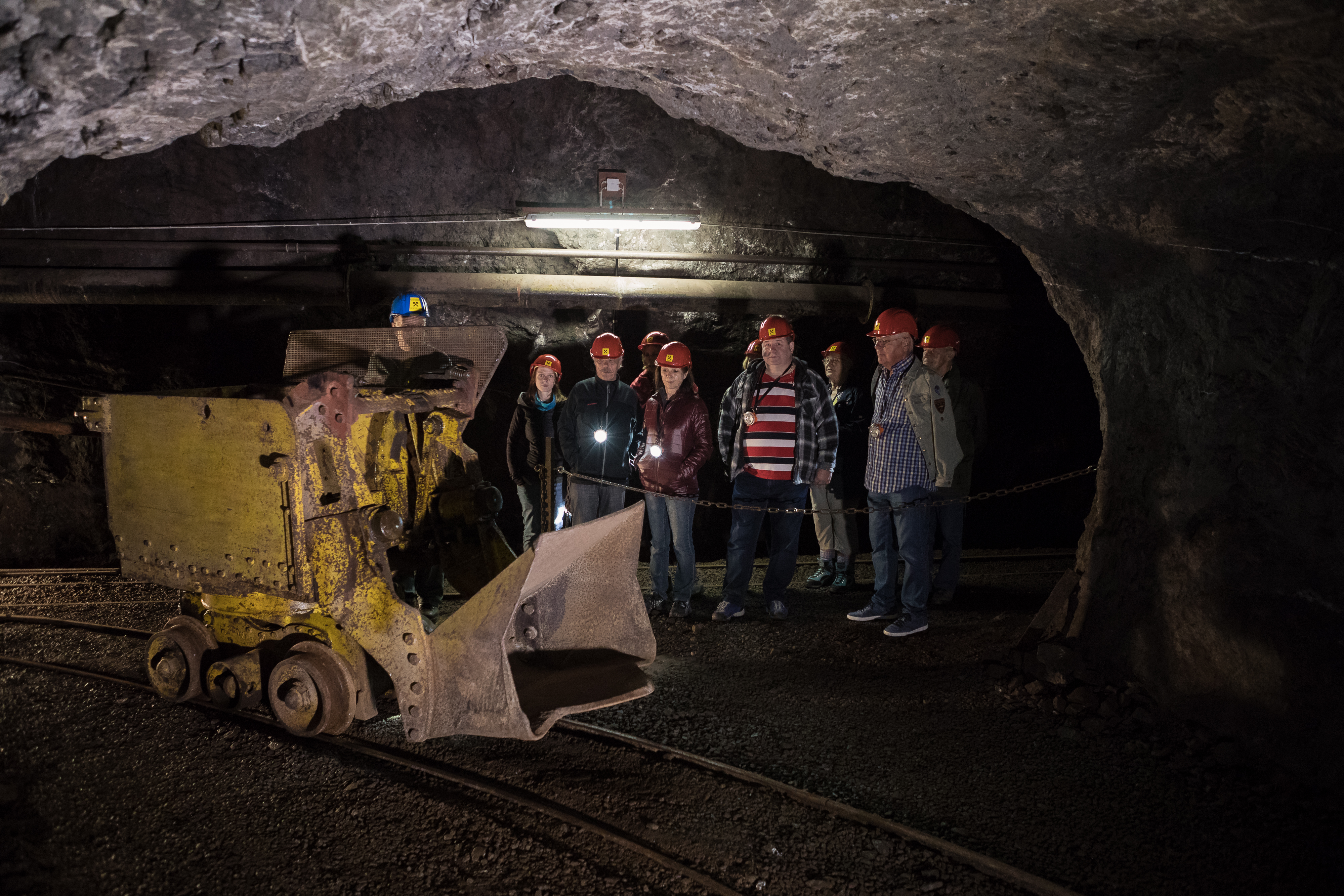 Allgemein öffentliche Führungen